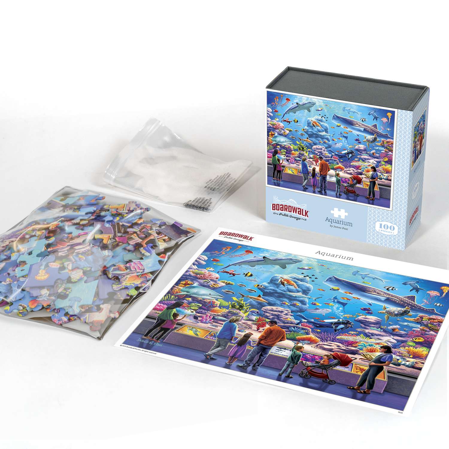 Aquarium | 100 Piece