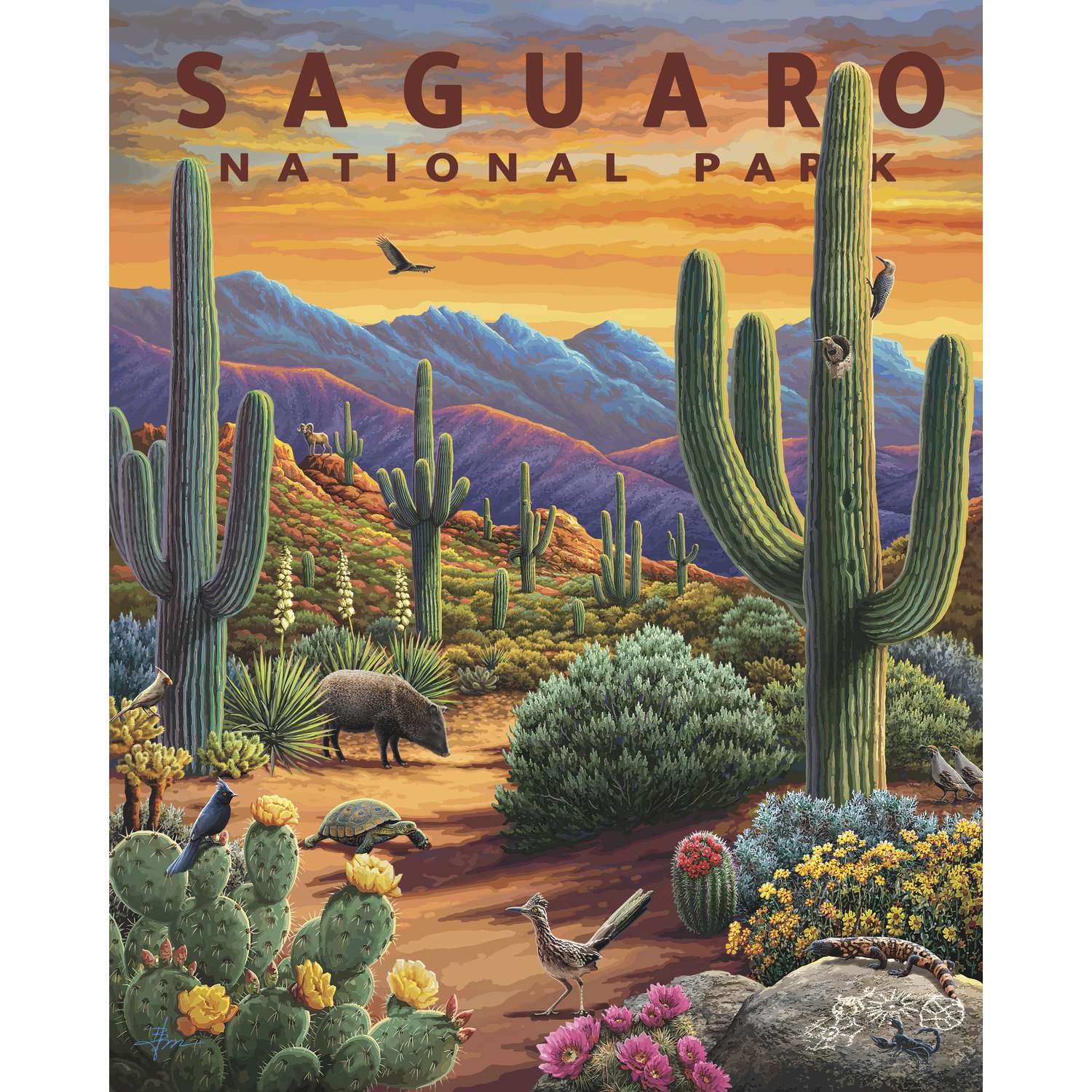 Saguaro National Park | 500 Piece Boardwalk Jigsaw Puzzle