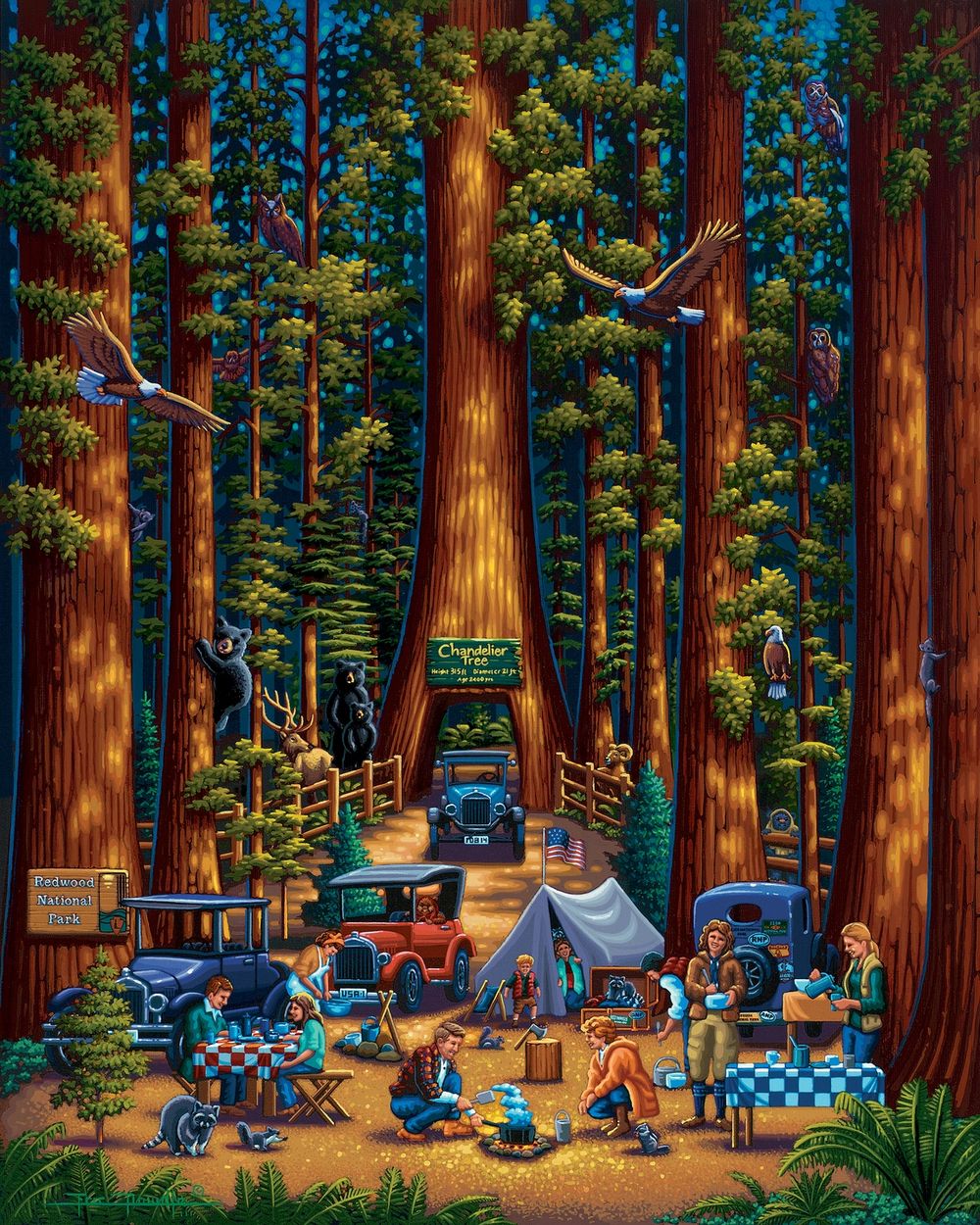 Redwood National Park - Personal Puzzle - 210 Piece