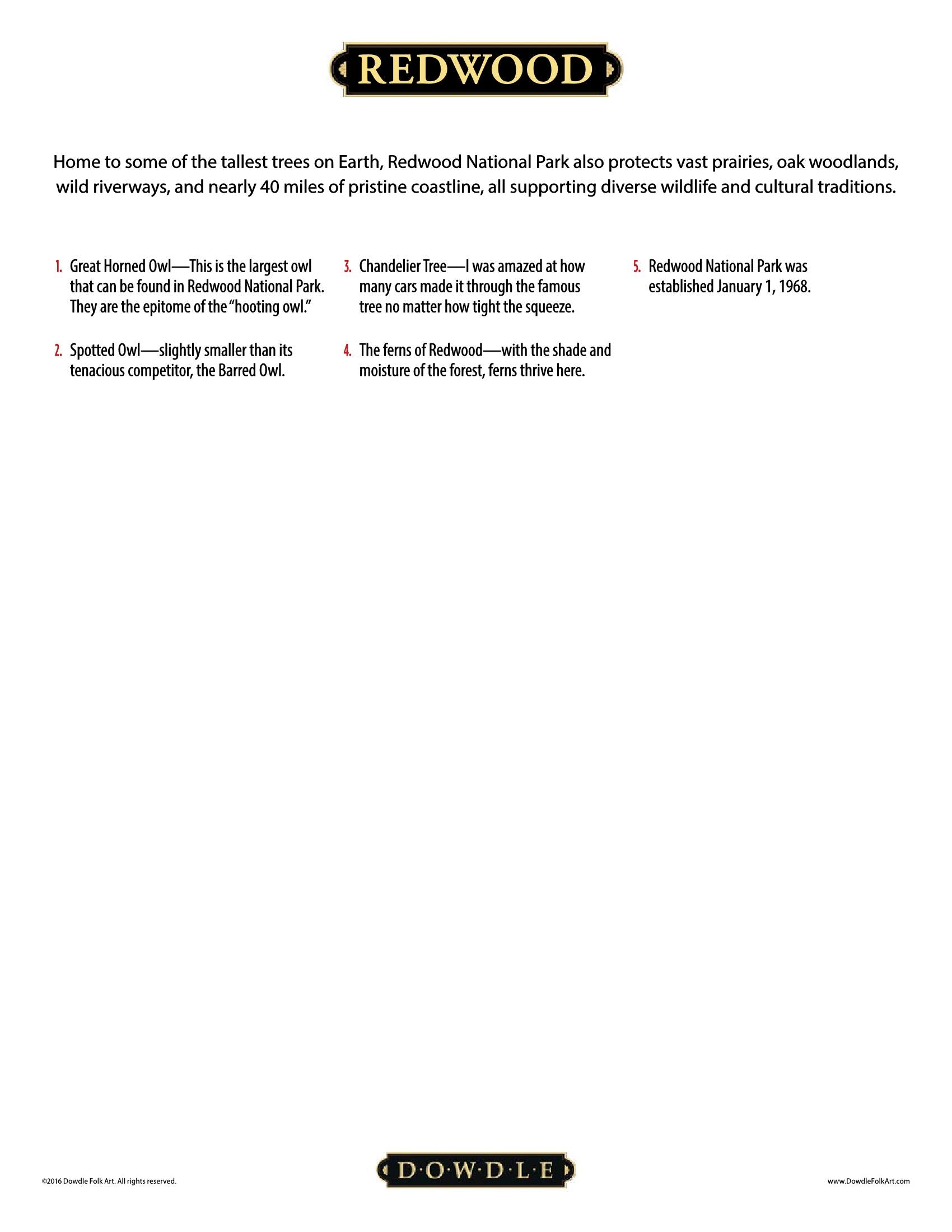 Redwood National Park Canvas Gallery Wrap