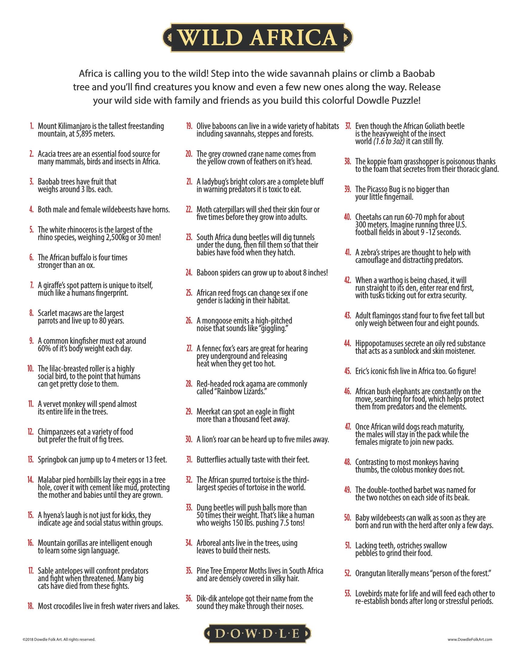 Wild Africa Canvas Gallery Wrap