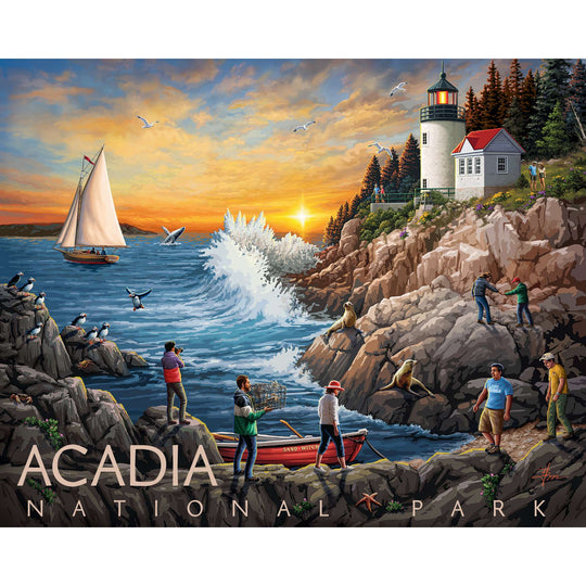 Acadia National Park - 500 Piece