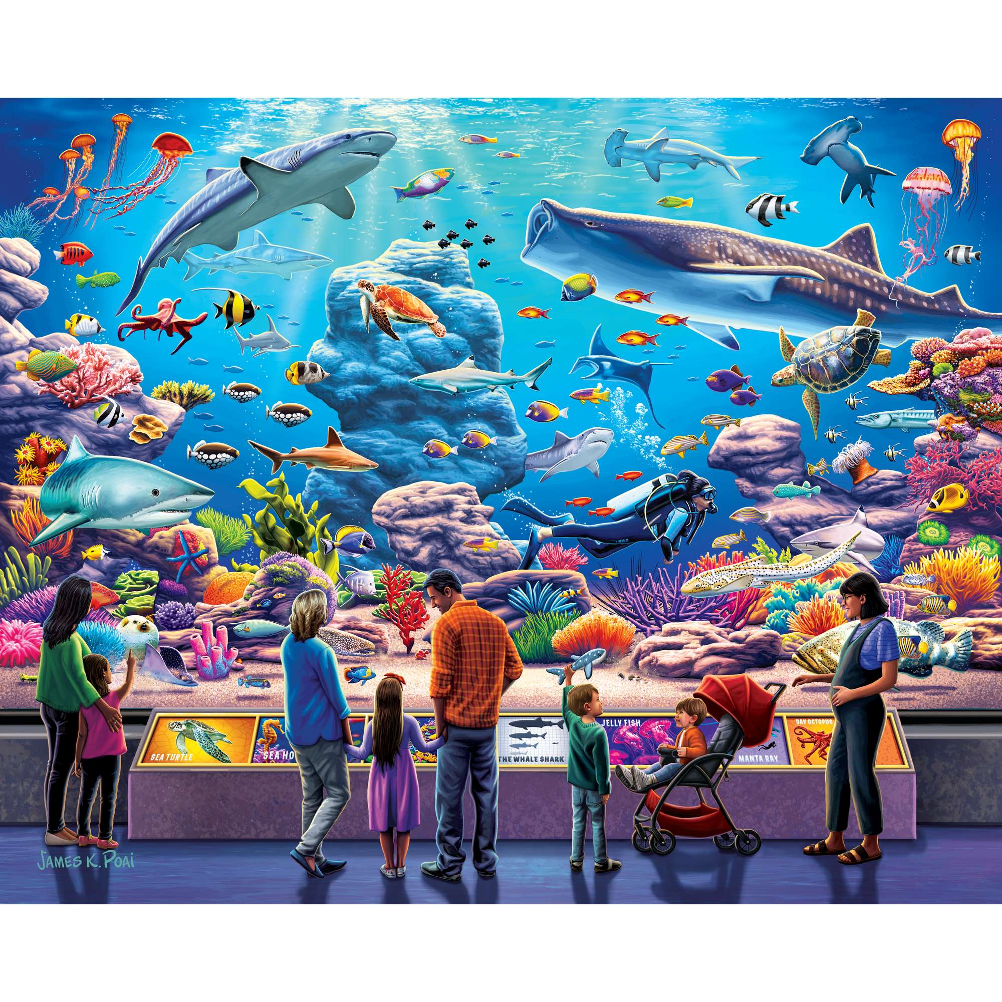 Aquarium | 1000 Piece
