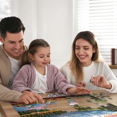 Denali National Park | 500 Piece