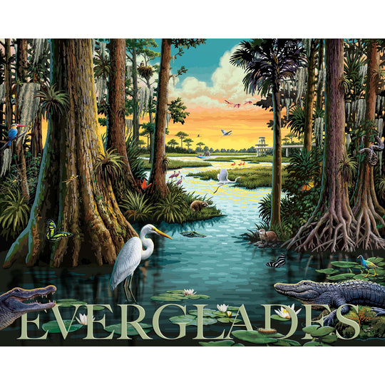 Everglades National Park - 500 Piece