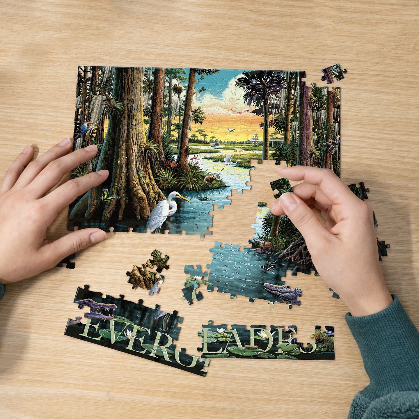 Everglades National Park | 210 Piece Personal Puzzle
