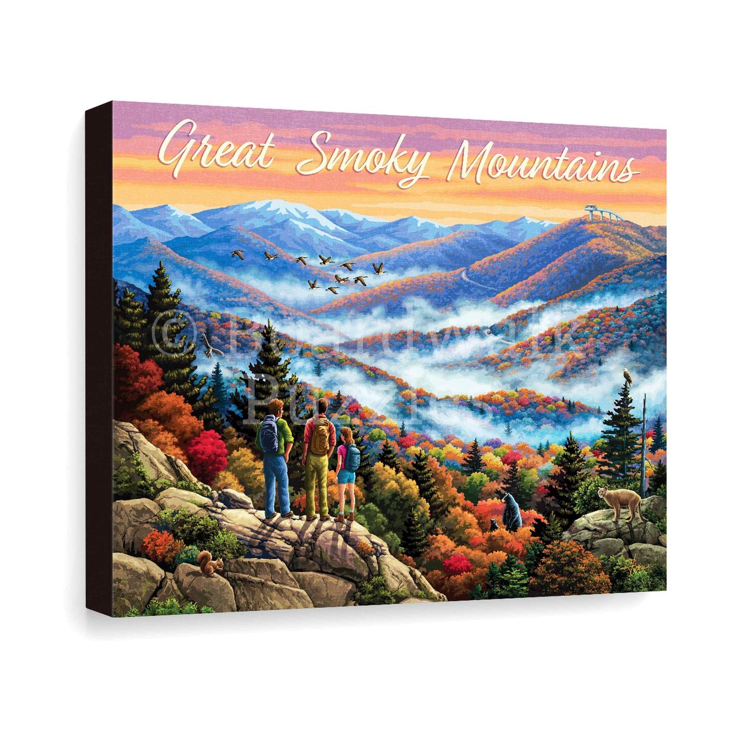 Great Smoky Mountains - Boardwalk Fine Art