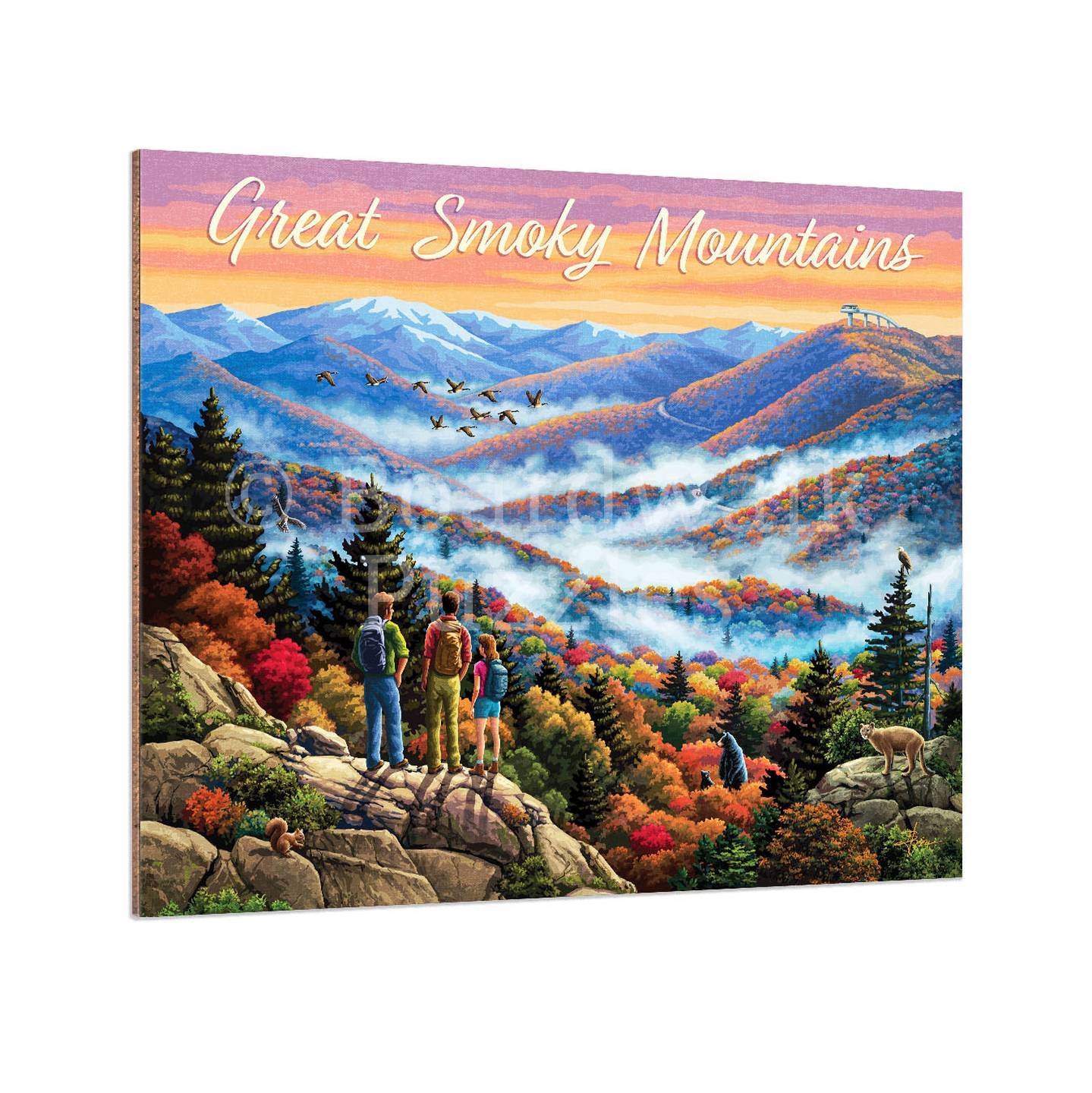 Great Smoky Mountains - Boardwalk Fine Art
