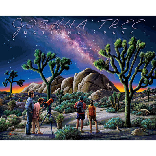 Joshua Tree National Park - 500 Piece
