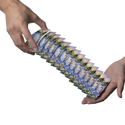 Lake House | Playing Cards