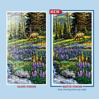 Mt. Rainier National Park | 500 Piece