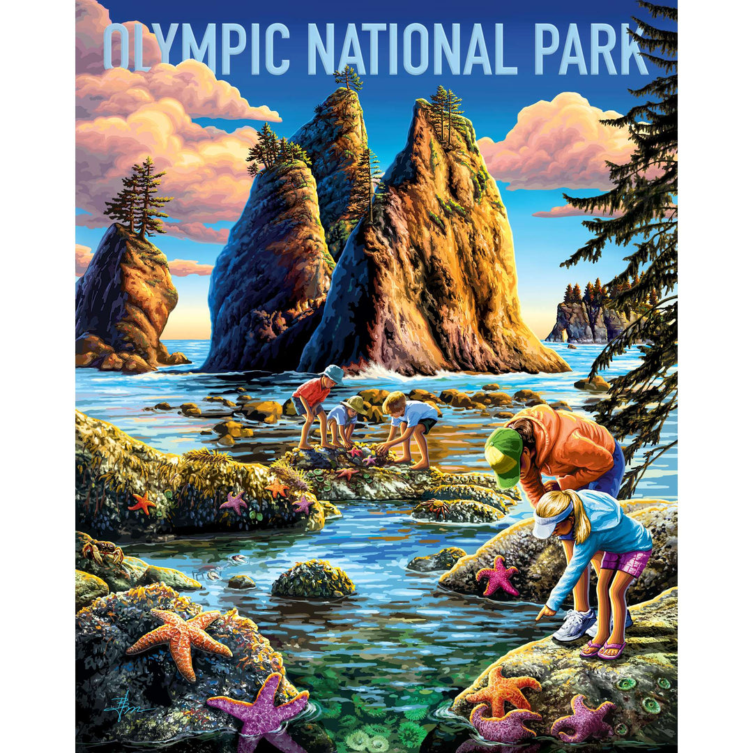 Olympic National Park - 500 Piece
