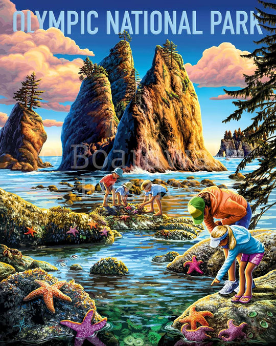 Olympic National Park - 500 Piece