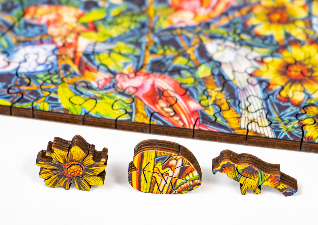 paradisebirds Paradise Birds