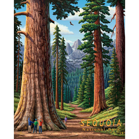 Sequoia National Park - 500 Piece