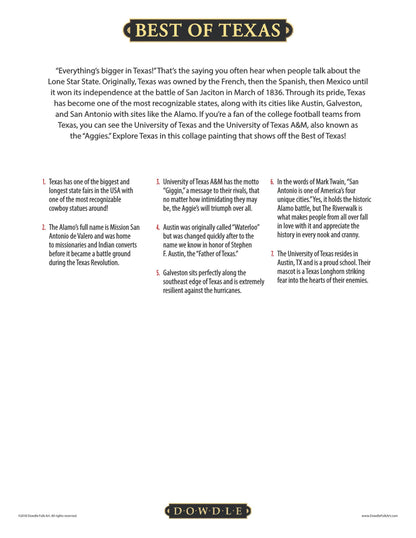 Best of Texas Canvas Gallery Wrap