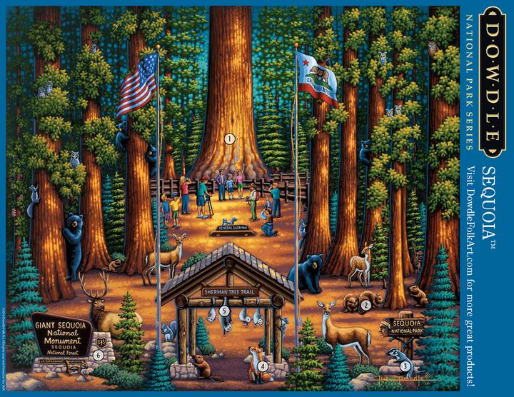 Sequoia National Park - Mini Puzzle - 250 Piece