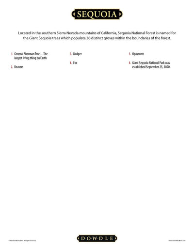 Sequoia National Park - Mini Puzzle - 250 Piece