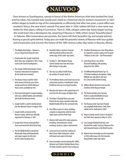 Nauvoo - Mini Puzzle - 250 Piece