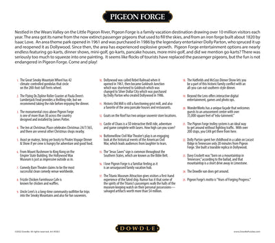 Pigeon Forge | 500 Piece