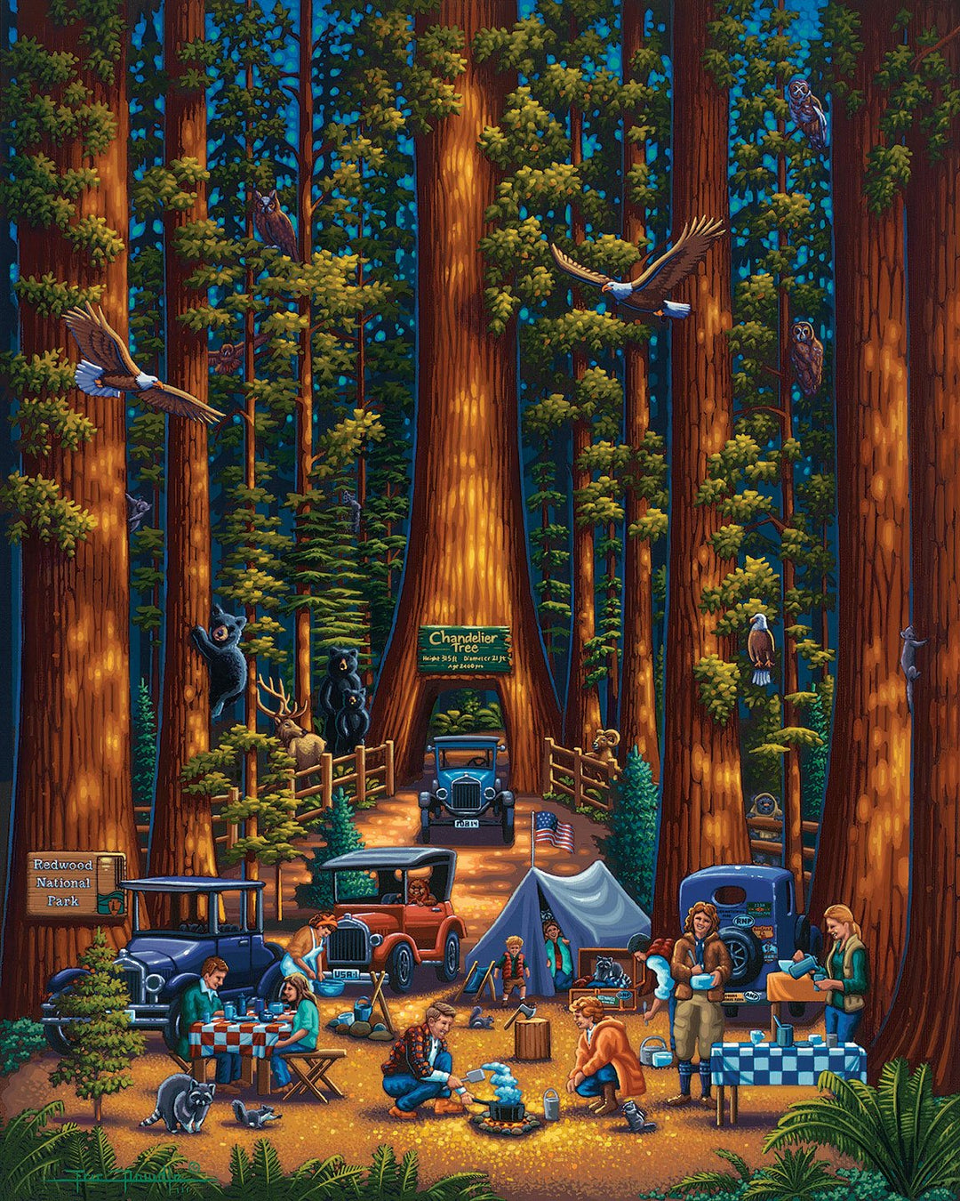 Redwood National Park - 500 Piece