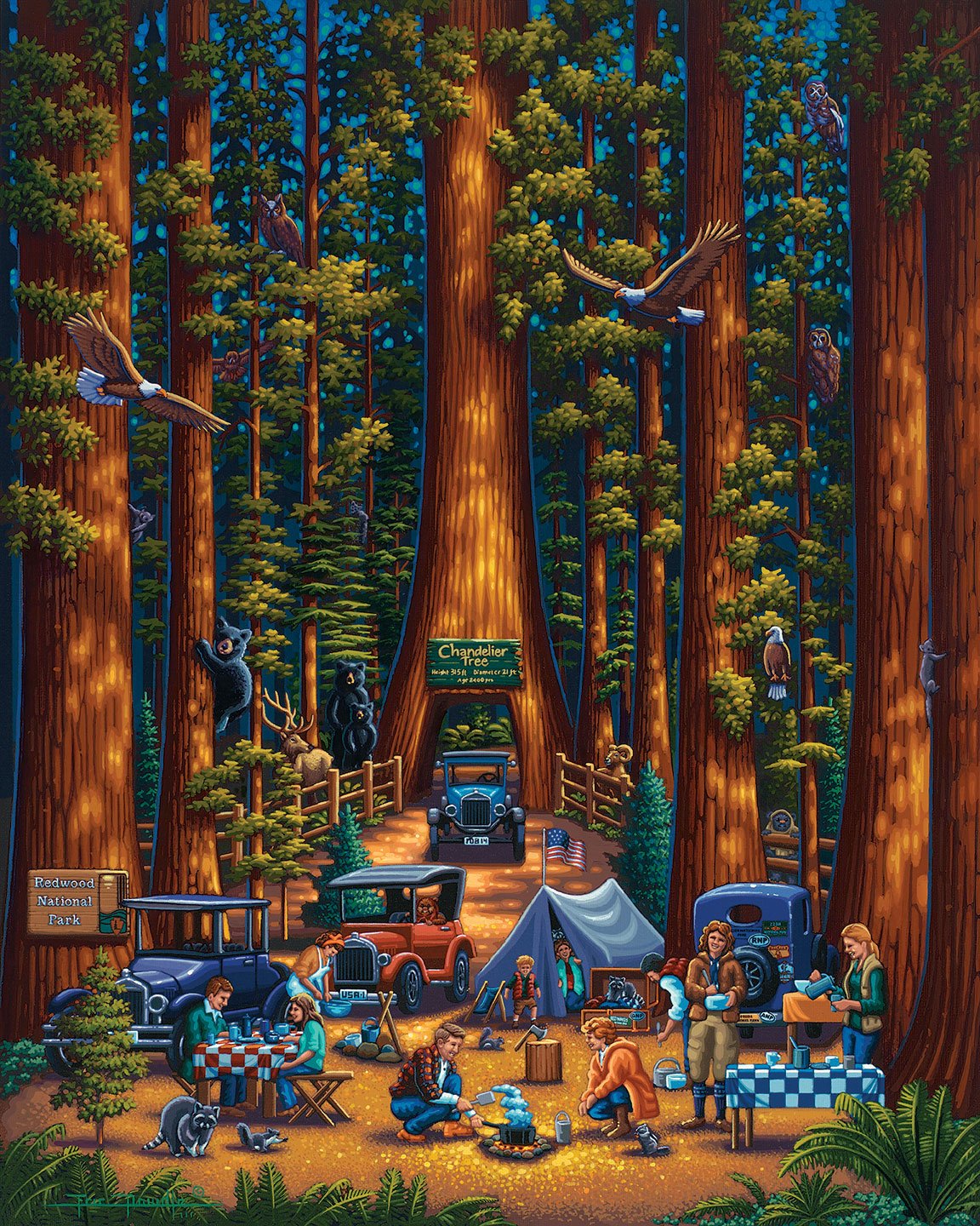 Redwood National Park | 500 Piece