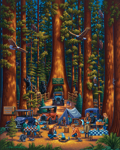 Redwood National Park | 500 Piece