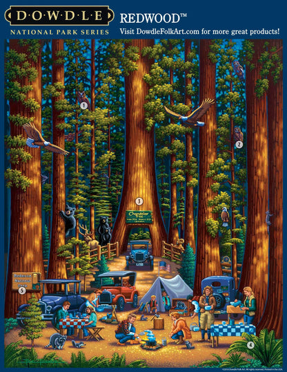 Redwood National Park | 500 Piece