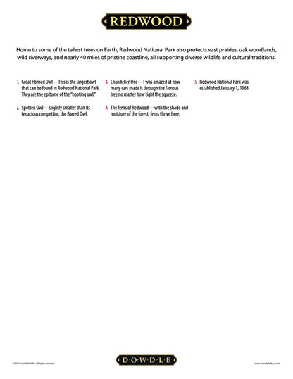 Redwood National Park Canvas Gallery Wrap