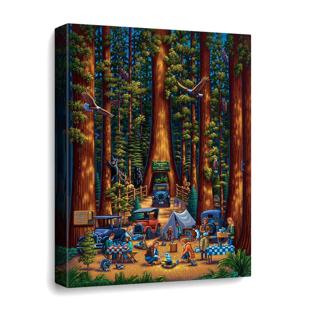 Redwood National Park Canvas Gallery Wrap