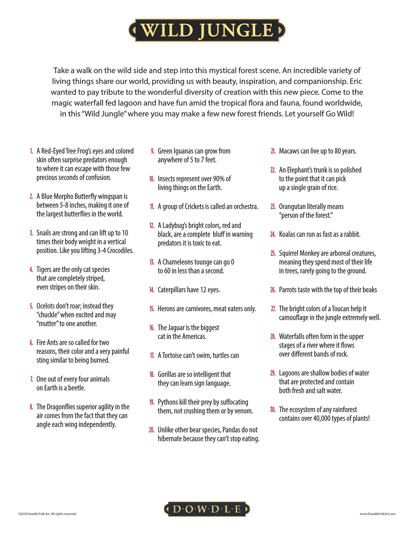 Wild Jungle Canvas Gallery Wrap